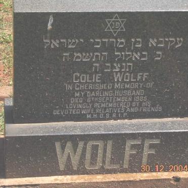 WOLFF Colie -19?5