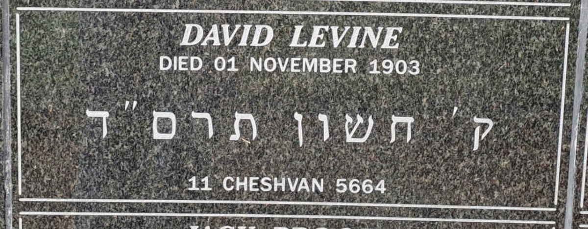LEVINE David -1903
