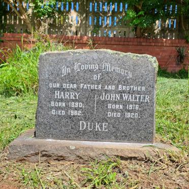 DUKE Harry 1890-1962 :: DUKE John Walter 1916-1920