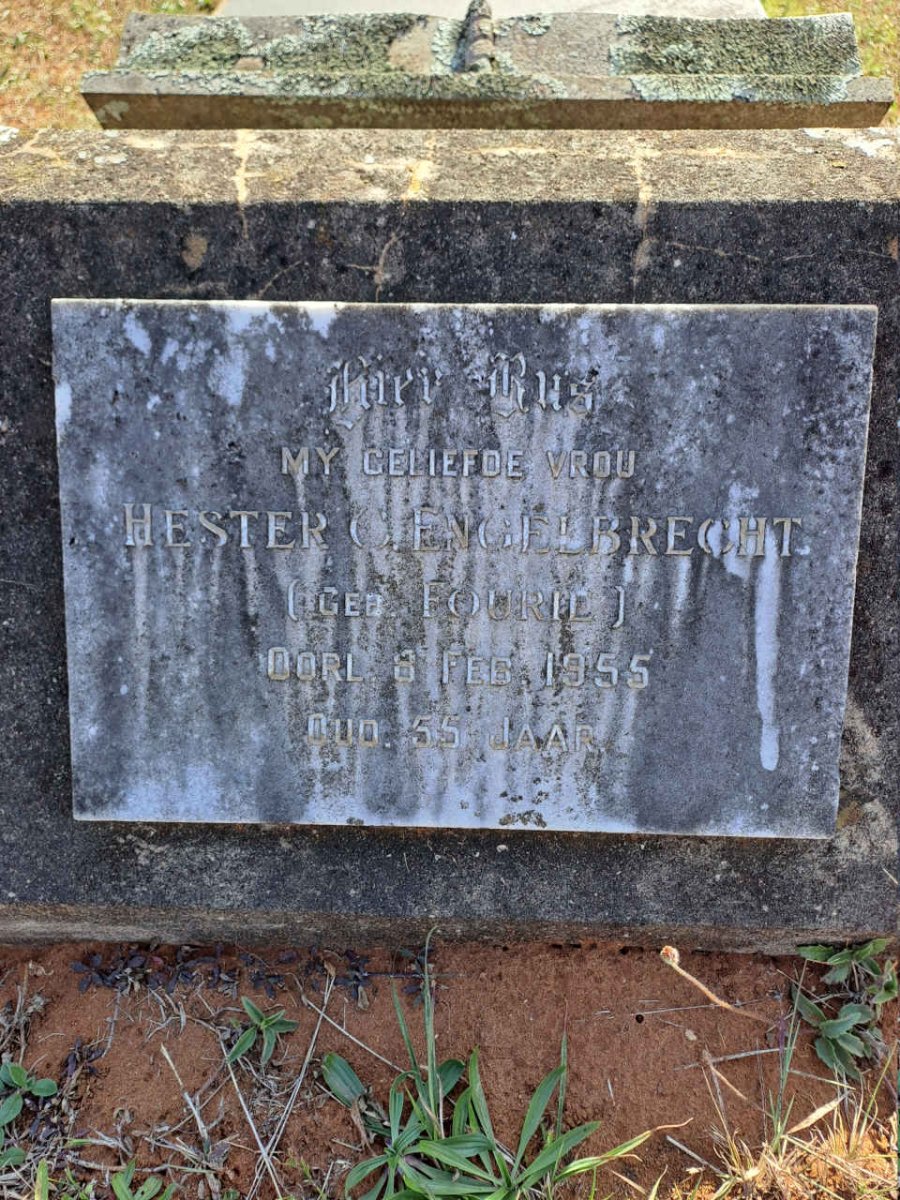 ENGELBRECHT Hester C. nee FOURIE -1955