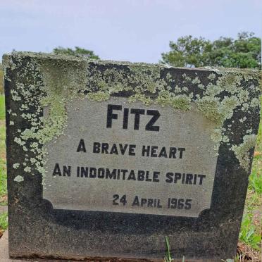 FITZ -1965