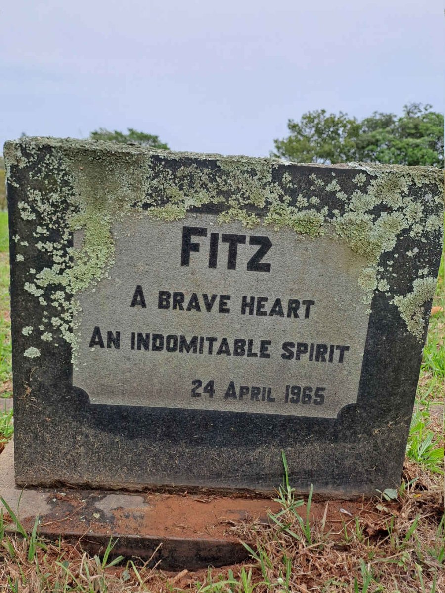 FITZ -1965