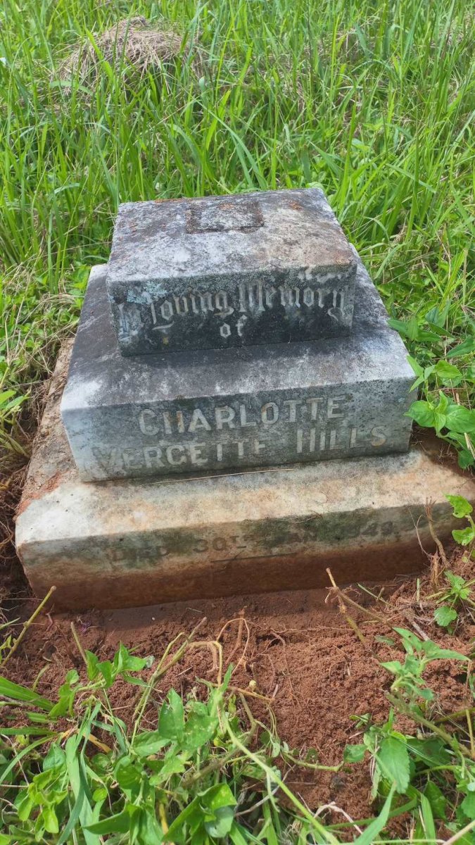 HILLS Charlotte Vergette -1949