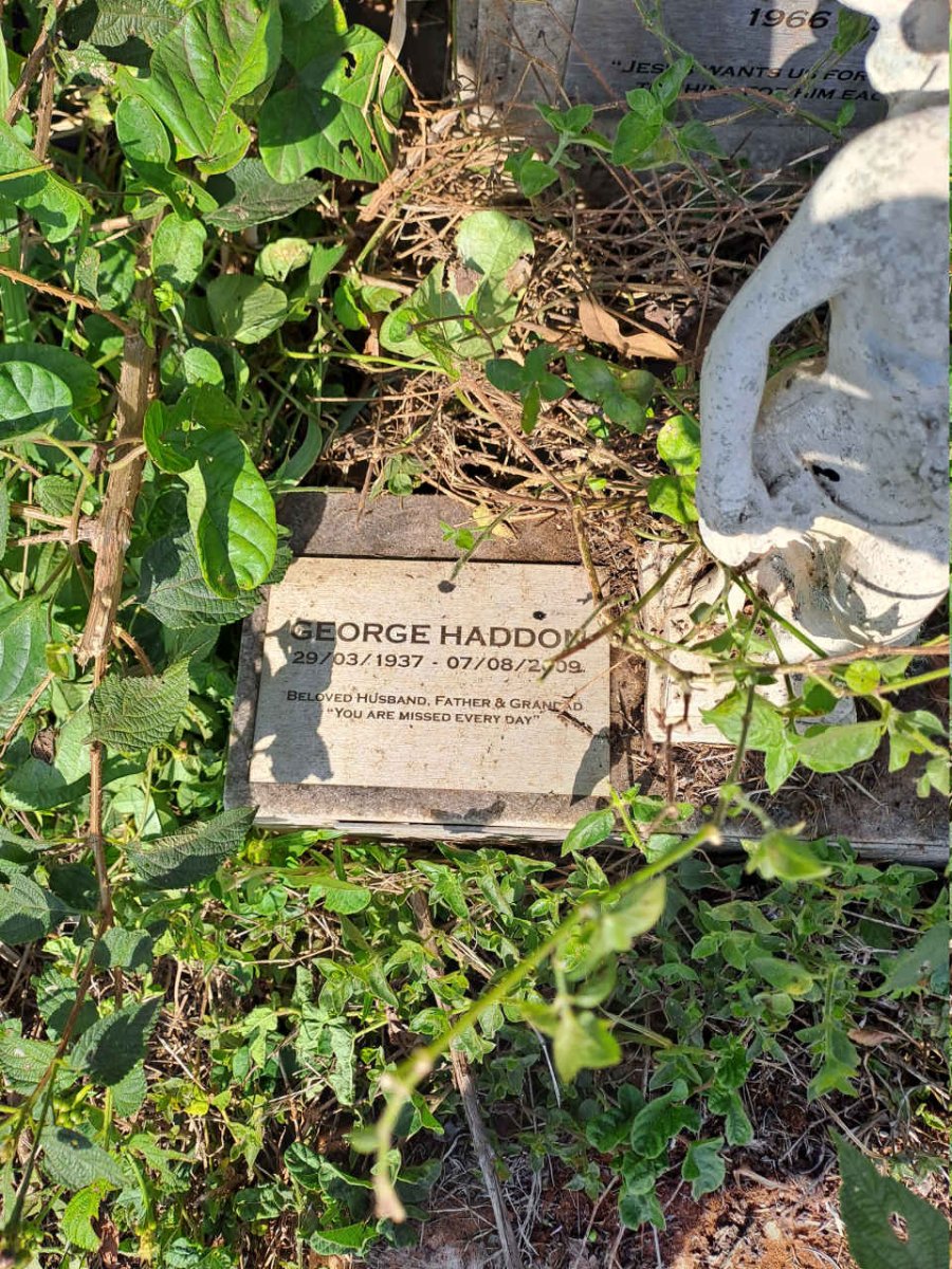 HADDON George 1937-2009