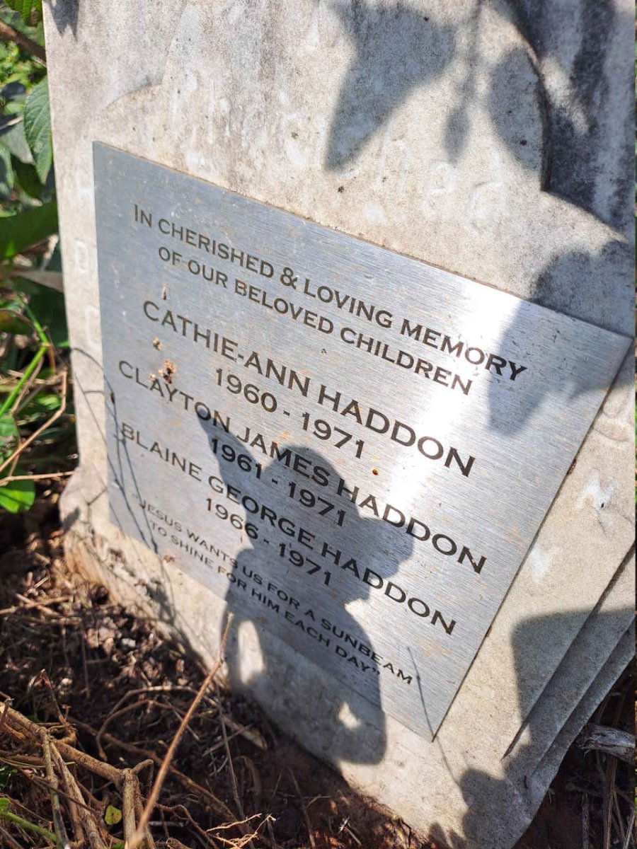HADDON Cathie-Ann 1960-1971 :: HADDON Clayton James 1961-1971 :: HADDON Blaine George 1966-1971