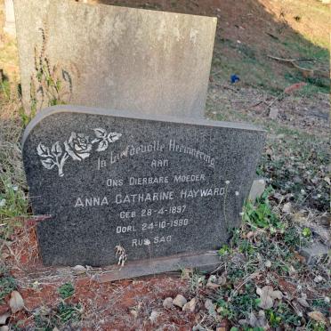 HAYWARD Anna Catherine 1897-1980