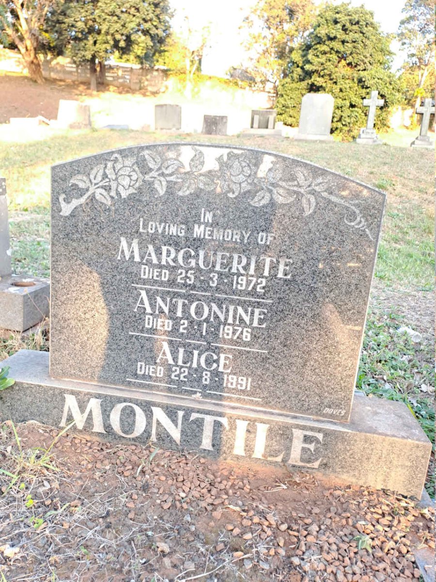 MONTILE Marguerite -1972 :: MONTILE Antonine -1976 :: MONTILE Alice -1991