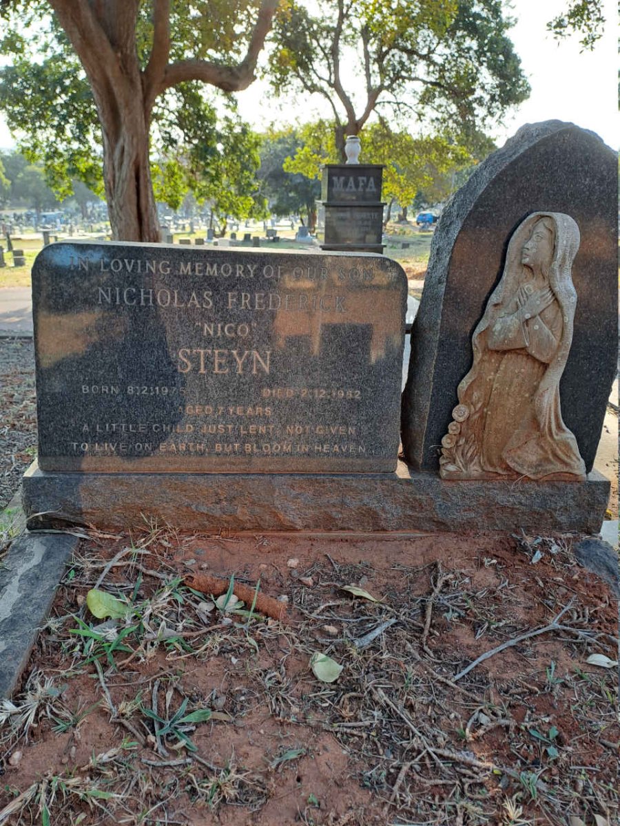 STEYN Nicholas Frederick 1975-1982