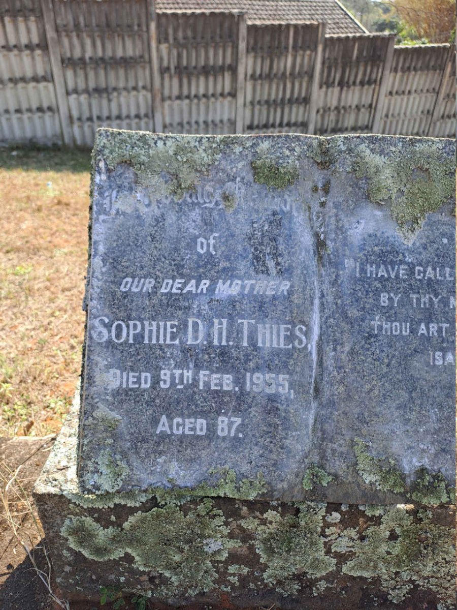 THIES Sophie D.H. -1955