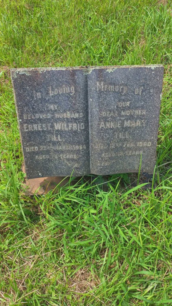 TILL Ernest Wilfrid -1954 & Annie Mary -1960