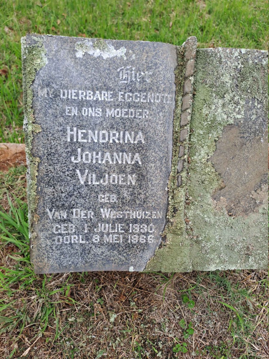 VILJOEN Hendrina Johanna nee VAN DER WESTHUIZEN 1930-1966