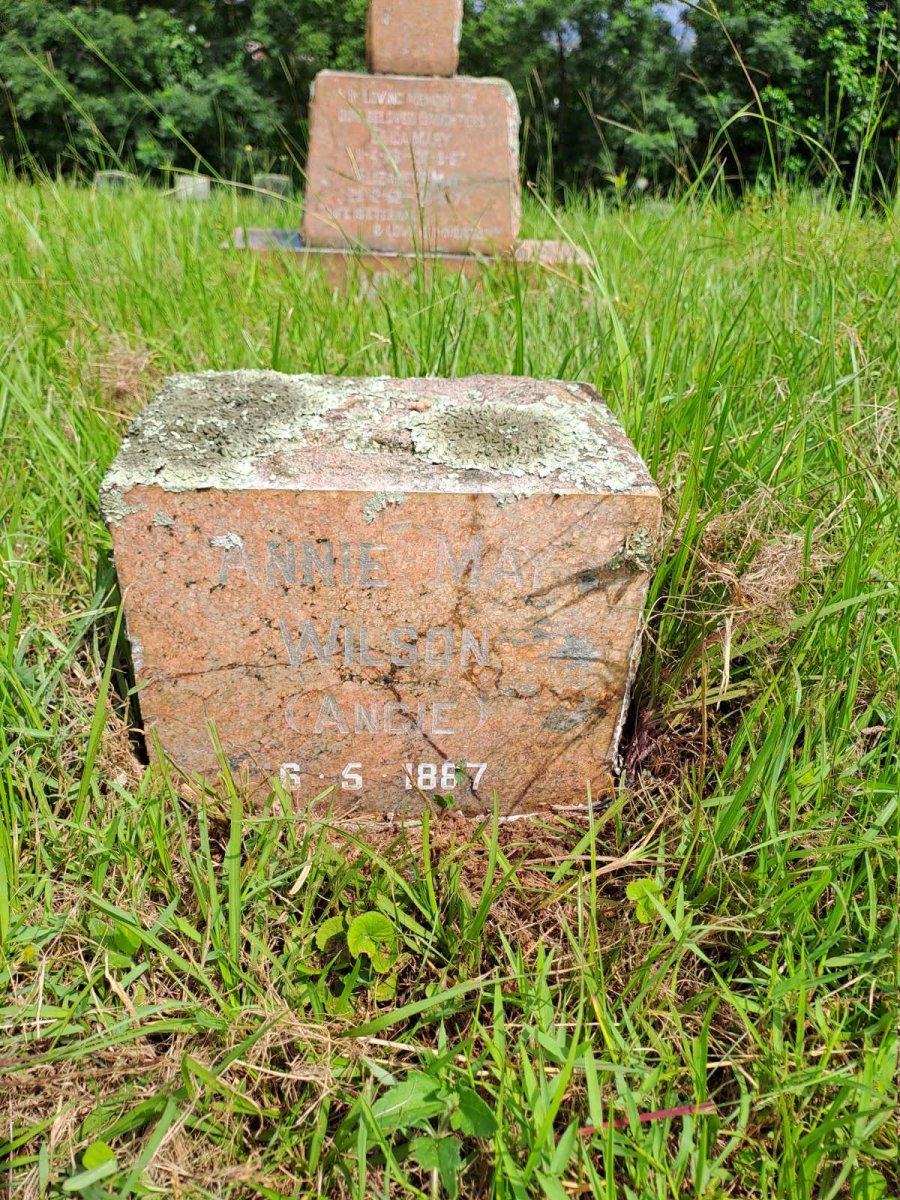 WILSON Annie May 1887-