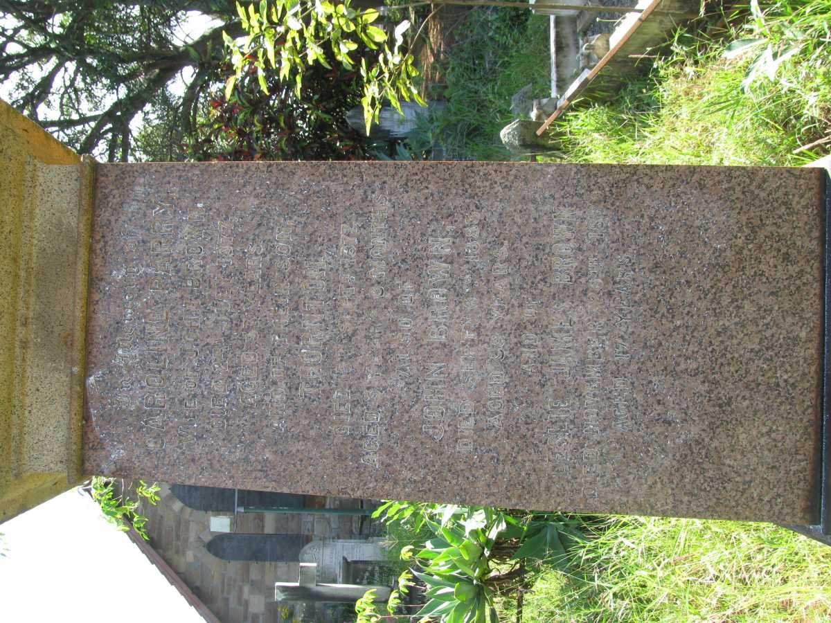 BROWN John -1895 &amp; Caroline Parry -1877 :: BROWN Thornton -1872 :: BROWN Leslie Jakes -18?