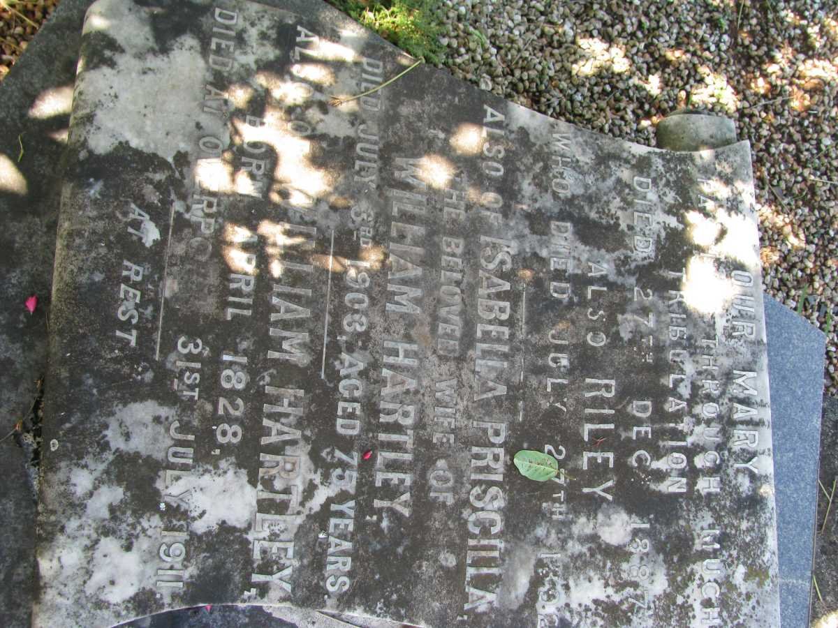 HARTLEY William 1828-1911 &amp; Isabella Priscilla -1903 :: HARTLEY Mary -1887 :: HARTLEY Riley -1892