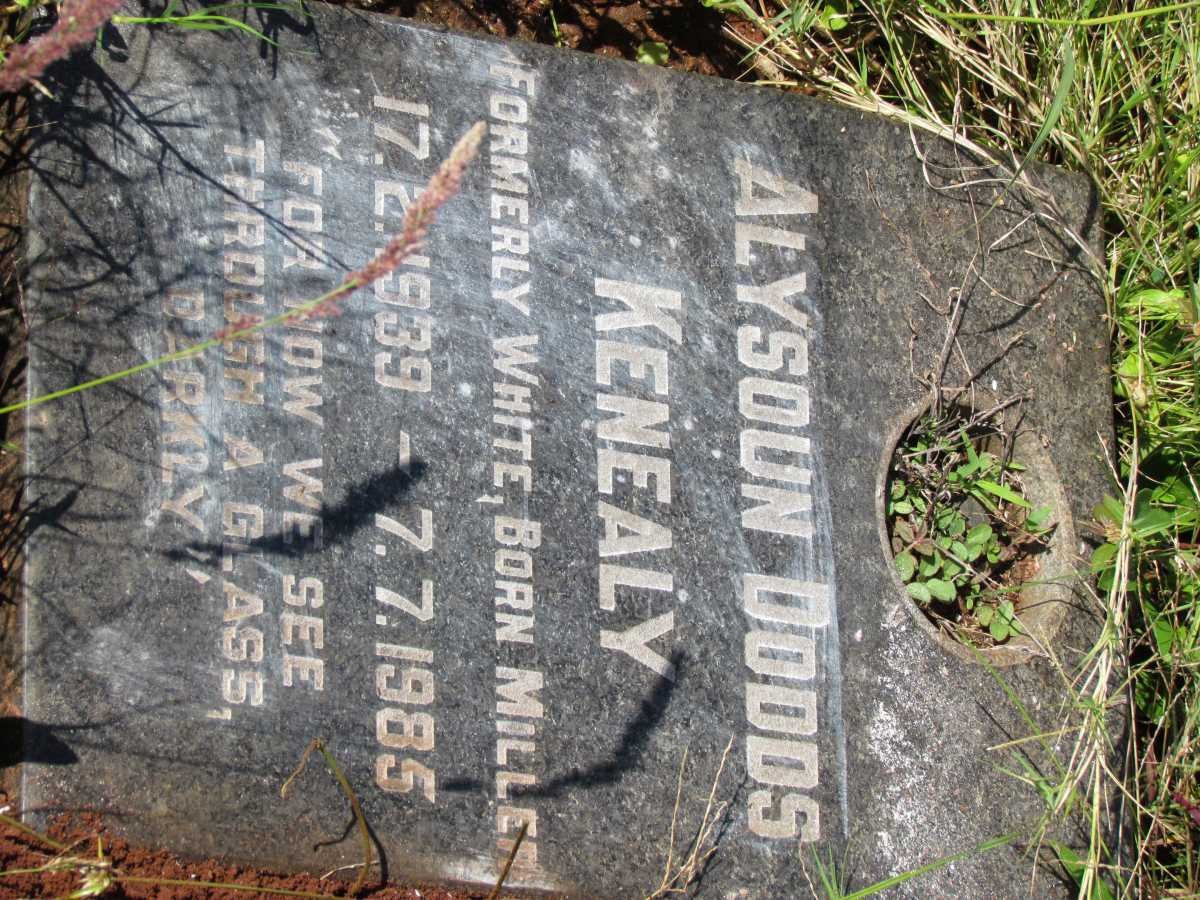 KENEALY Alysoun Dodds previously WHITE nee MILLER 1939-1985