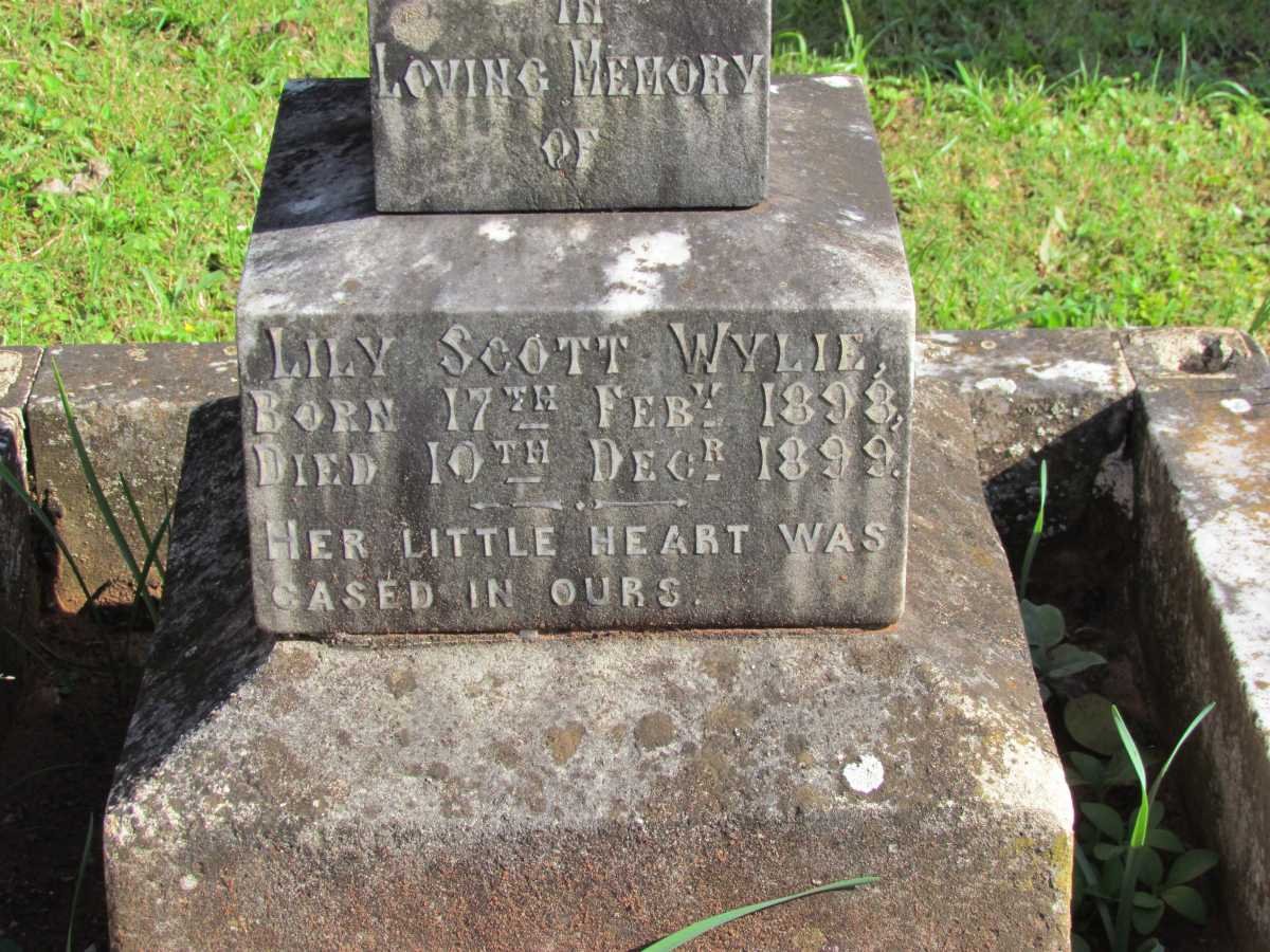 WYLIE Lily Scott 1898-1899