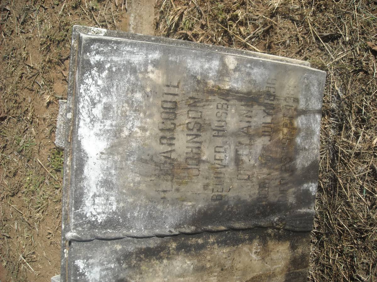 JOHNSON Logarcoote 1896-1981 &amp; Elaine