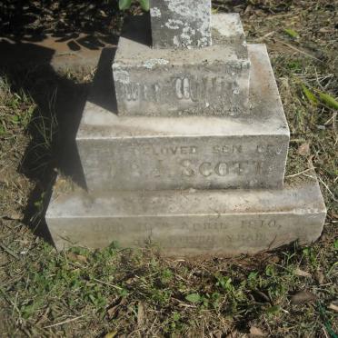SCOTT Willie -1910