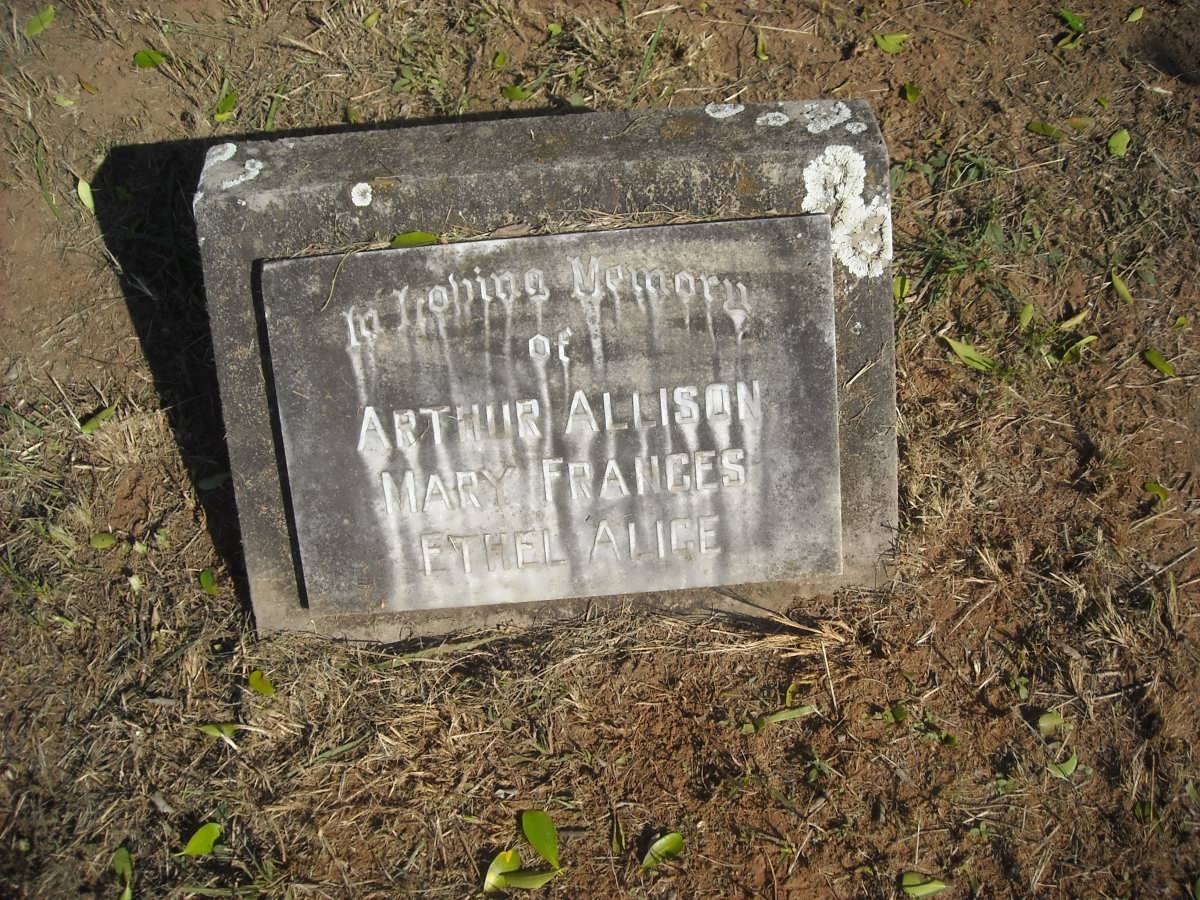 ? Arthur Allison :: ? Mary Frances :: ? Ethel Alice