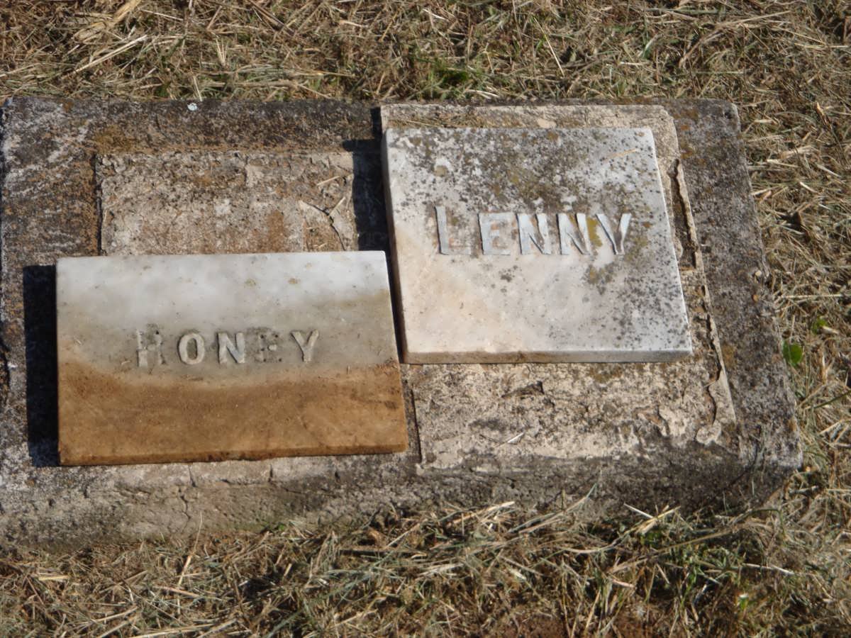 ? Roney :: ? Lenny