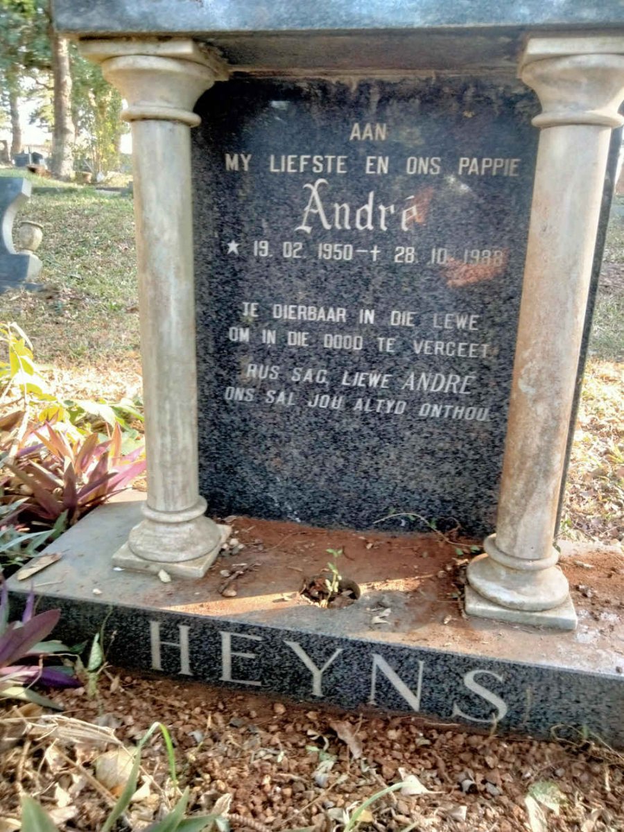 HEYNS Andre 1950-1988