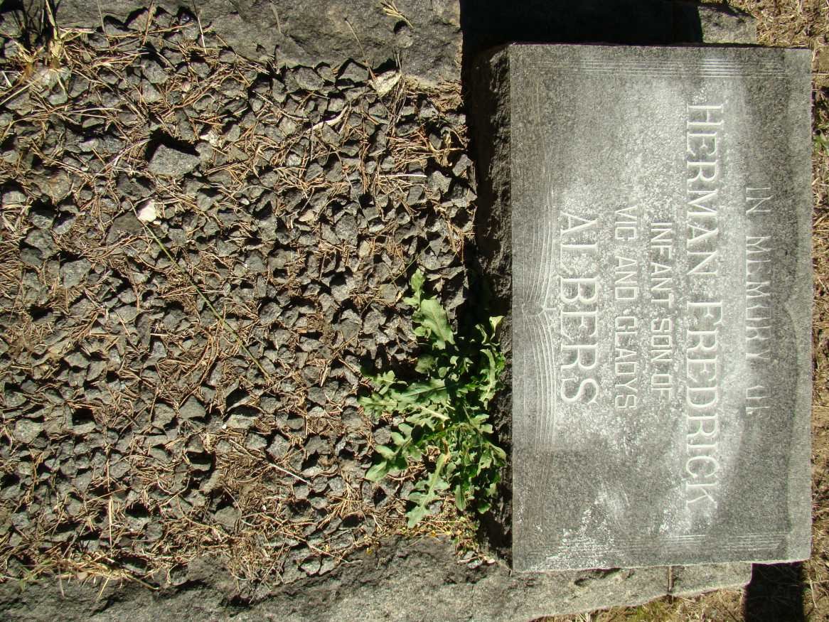 ALBERS Herman Fredrick