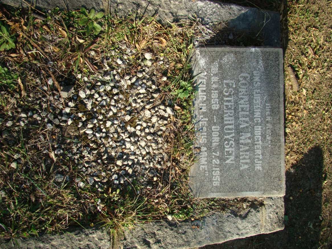 ESTERHUYSEN Cornelia Maria 1956-1956