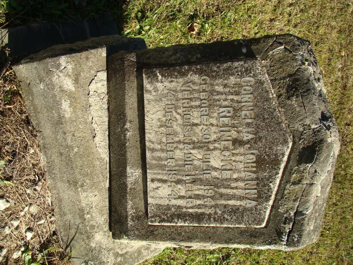 REINECKE Cornelia Johanna 1943-1944