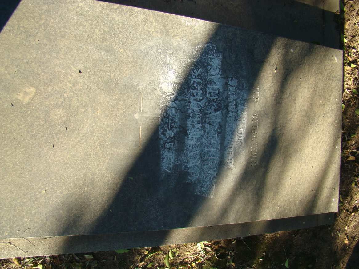 SCHOONRAAD David Martiens 1929-1967