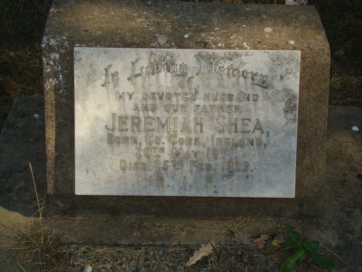 SHEA Jeremiah 1871-1929