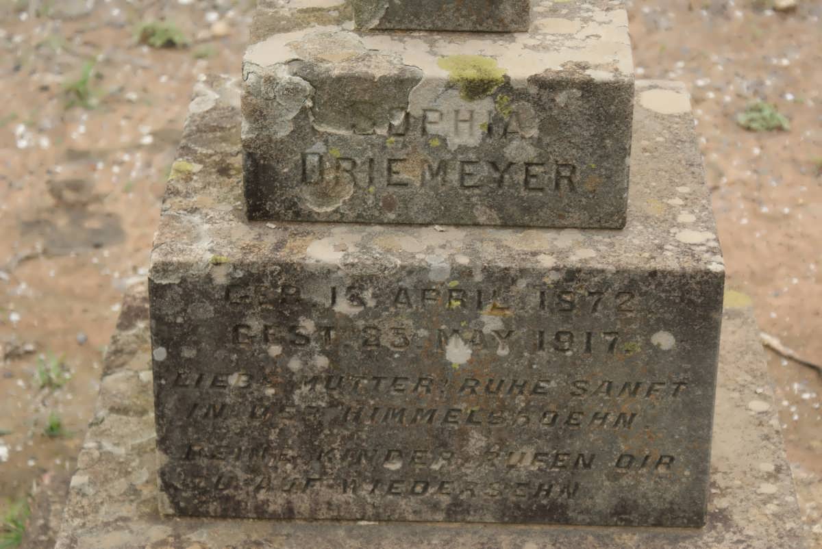 DRIEMEYER Sophia Urie 1872-1917
