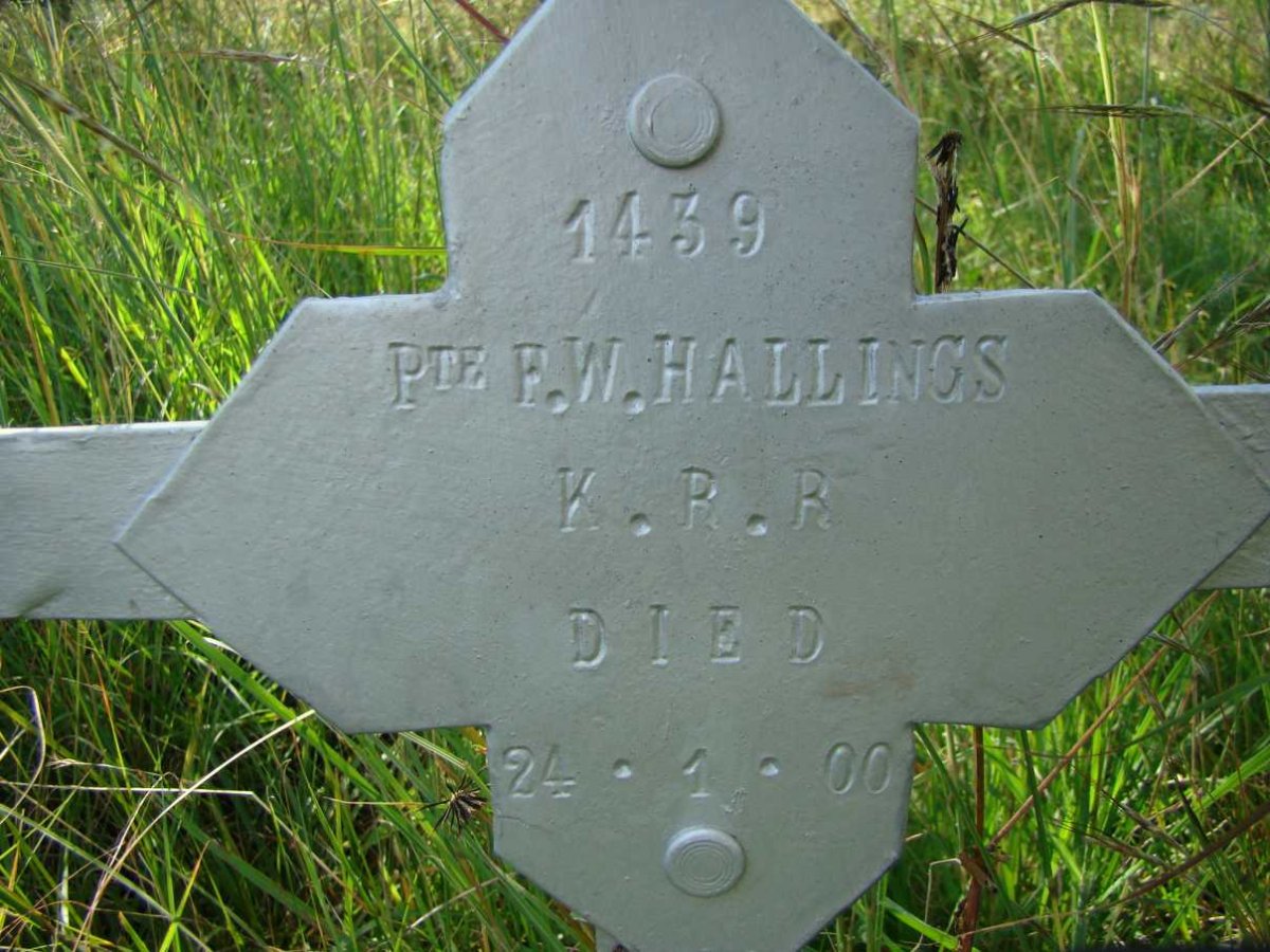 HALLINGS F.W. -1900