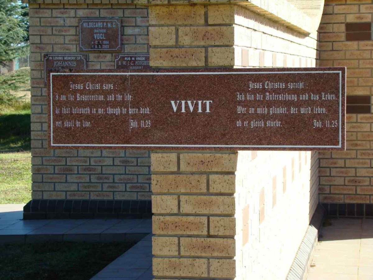 3. Vivit