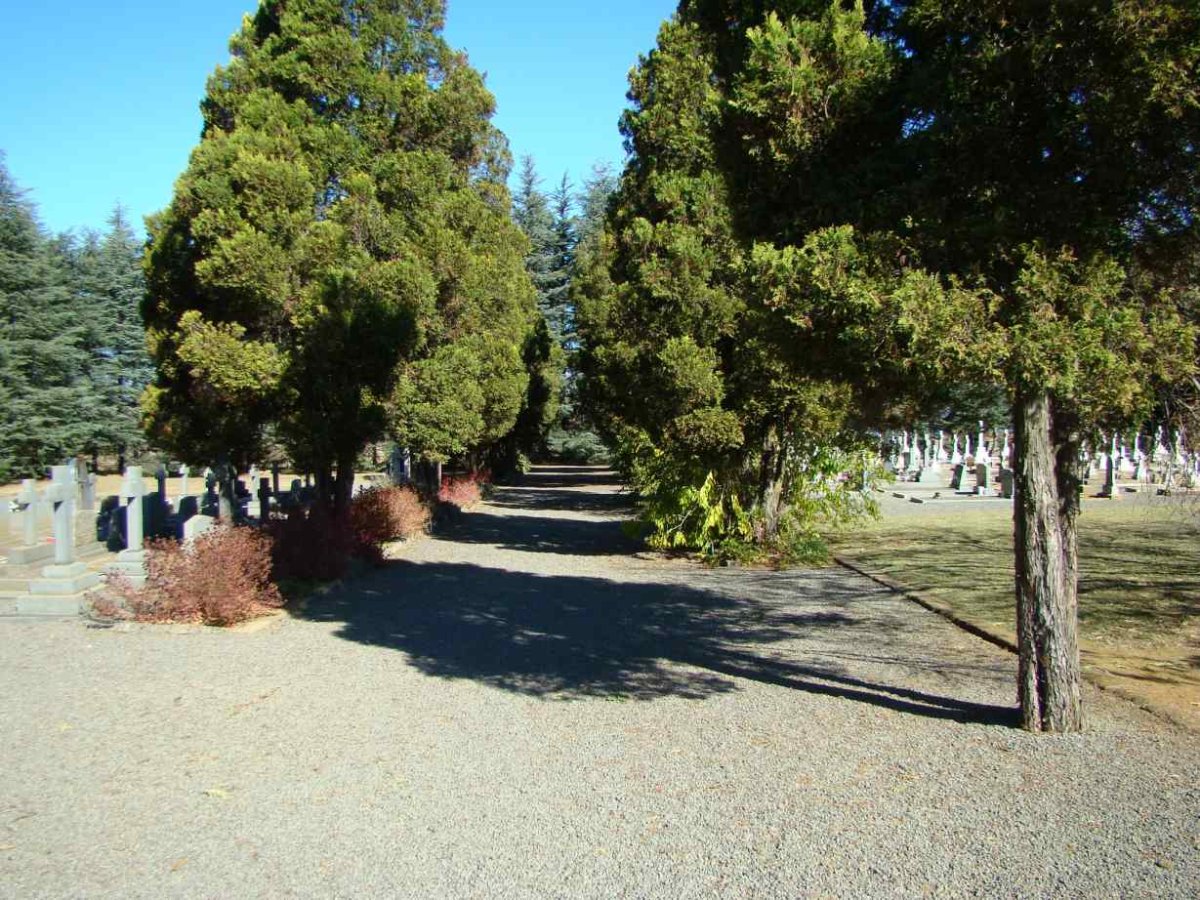 2. Overview