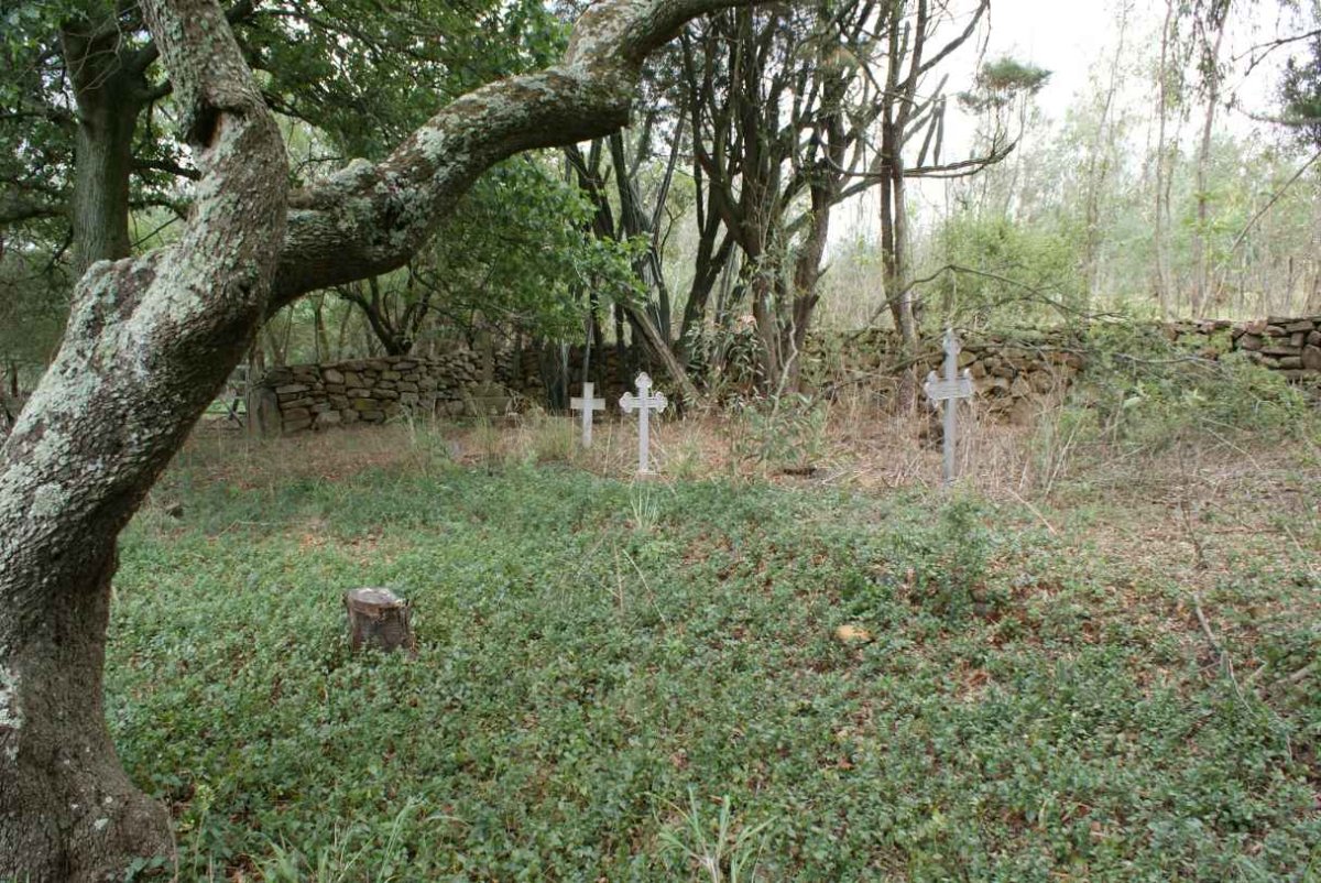 2. Overview