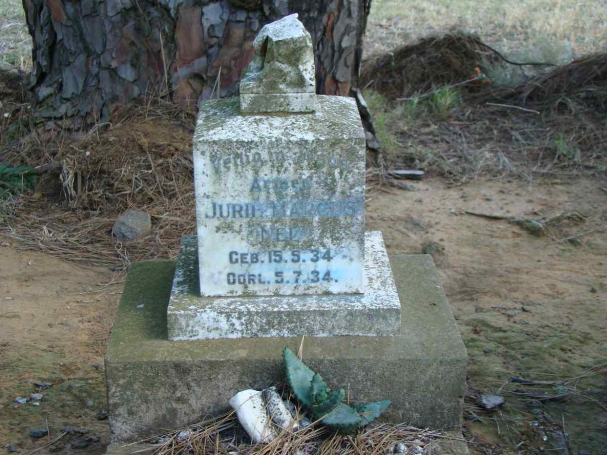 NEL Jurie Marcus 1934-1934