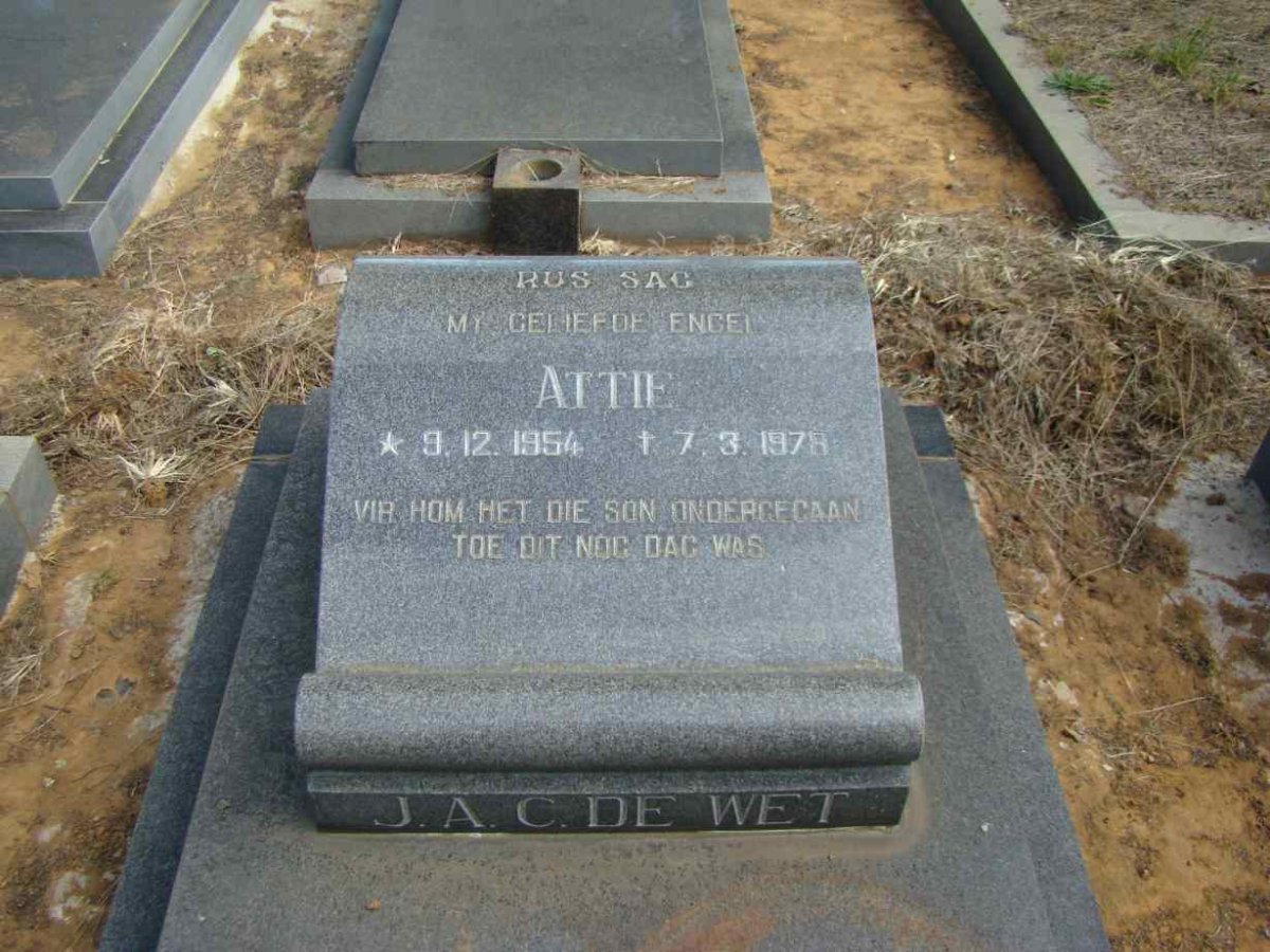 WET J.A.C., de 1954-1978