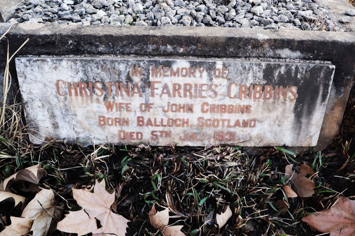 CRIBBINS Christina Farries -1931