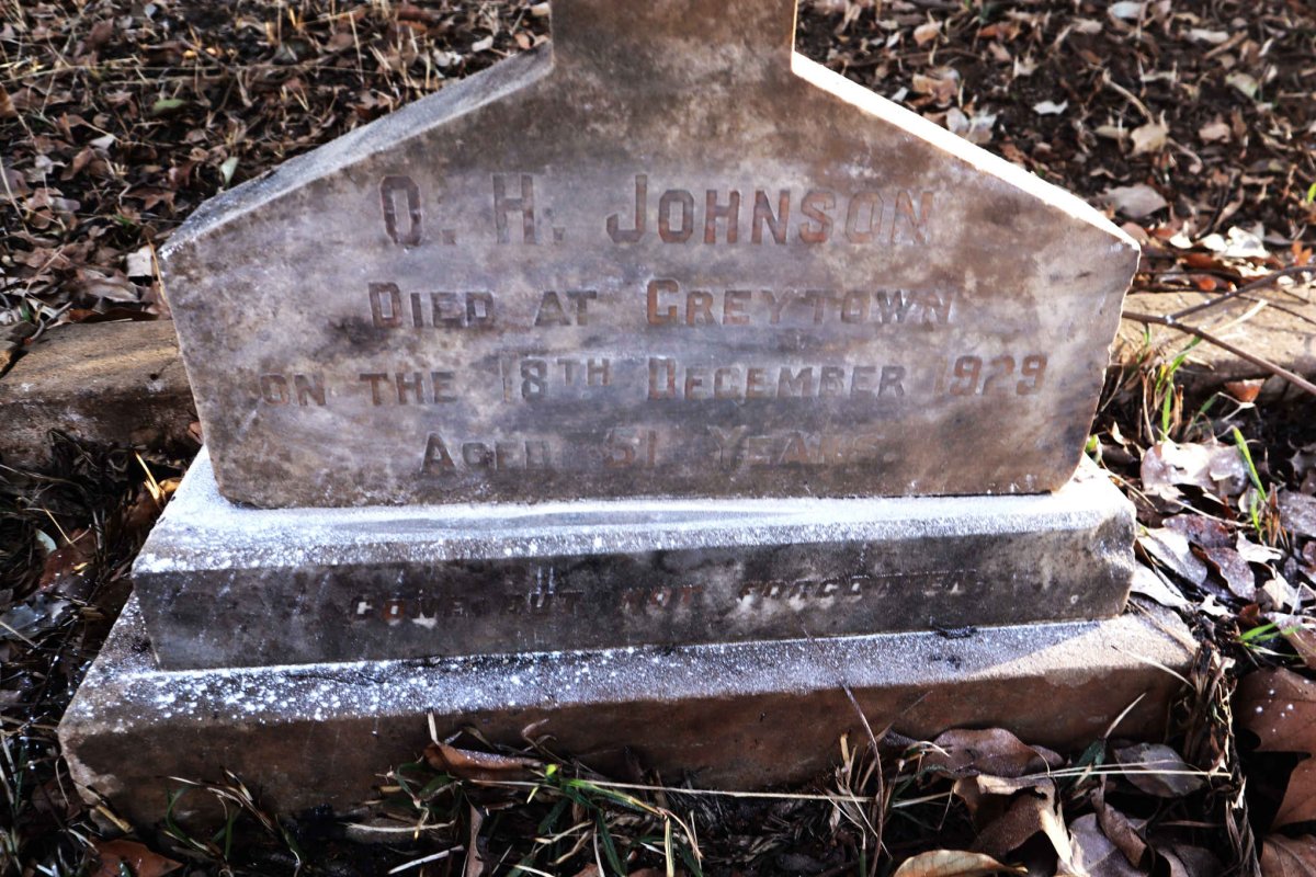 JOHNSON O.H. -1929