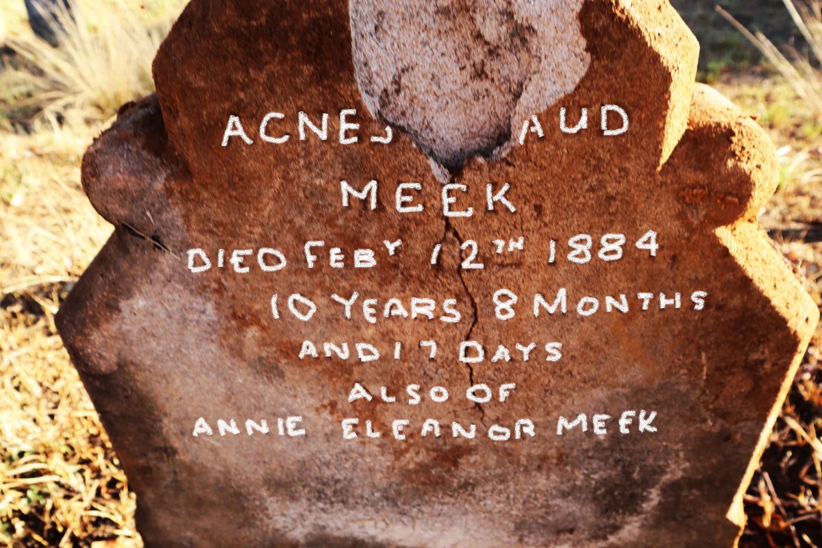 MEEK Agnes Maud -1884 :: MEEK Annie Eleanor -1884 _1