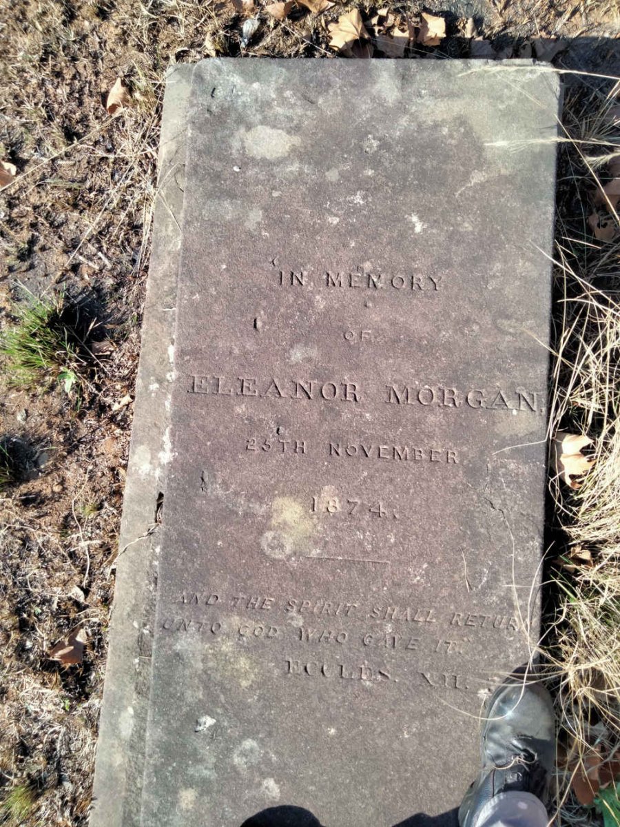 MORGAN Eleanor -1874