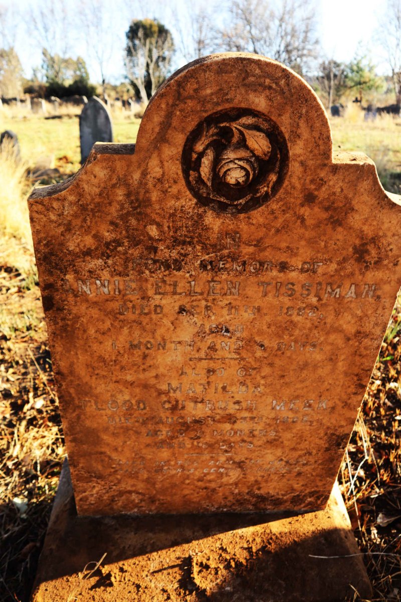 TISSIMAN Annie Ellen -1882 :: MEEK Matilda Flood Cutbush -1883_1