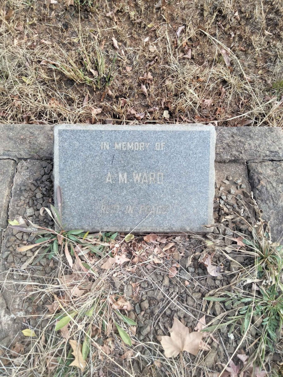 WARD A.M.