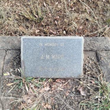 WARD A.M.