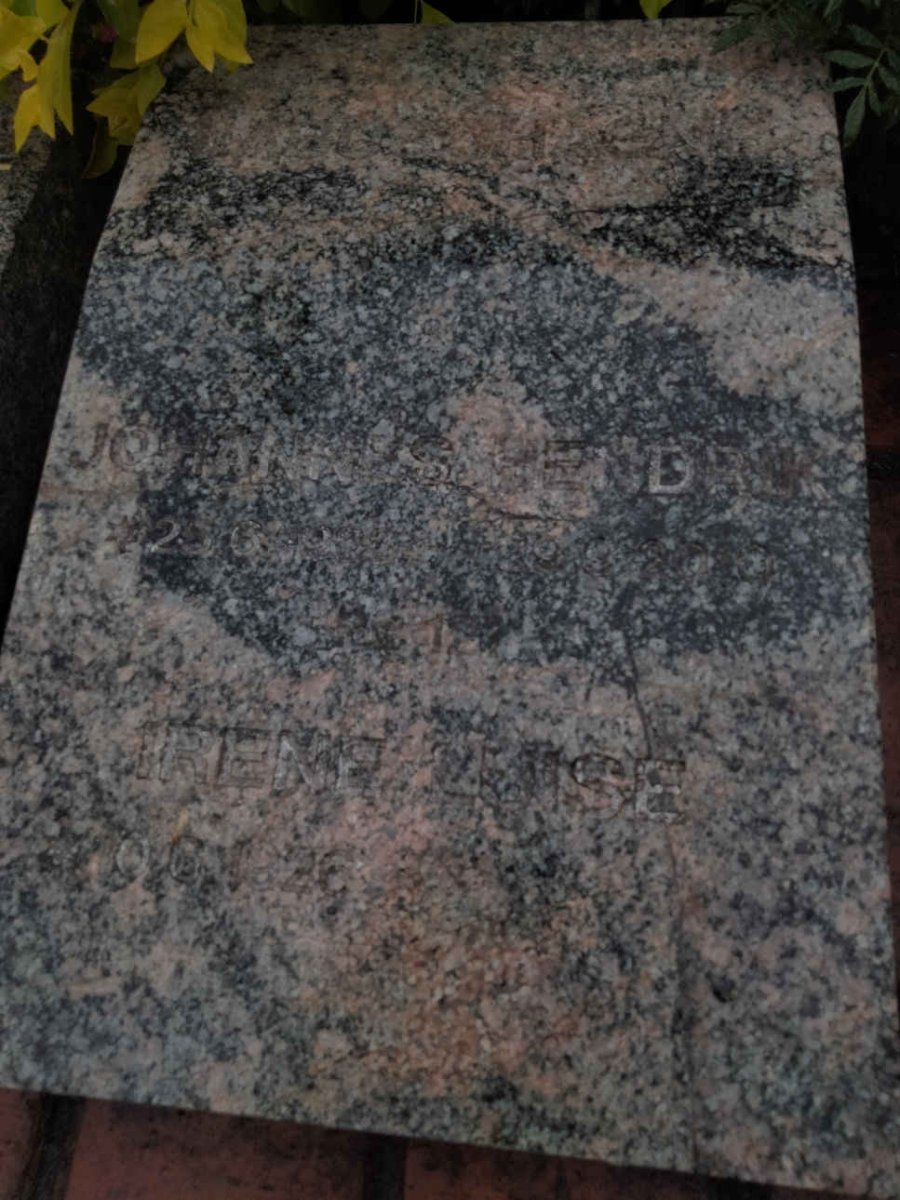 ? Johannes Hendrik ? &amp; Irene ? 1826-?