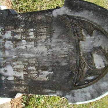 TAYLOR Robert -1941