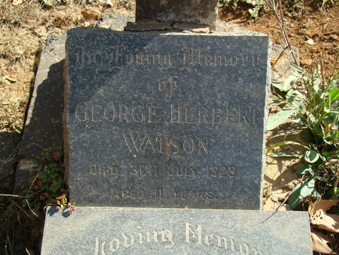 WATSON George Herbert - 1929