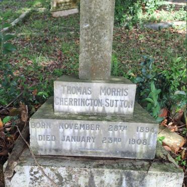 SUTTON Thomas Morris Cherrington 1894-1908