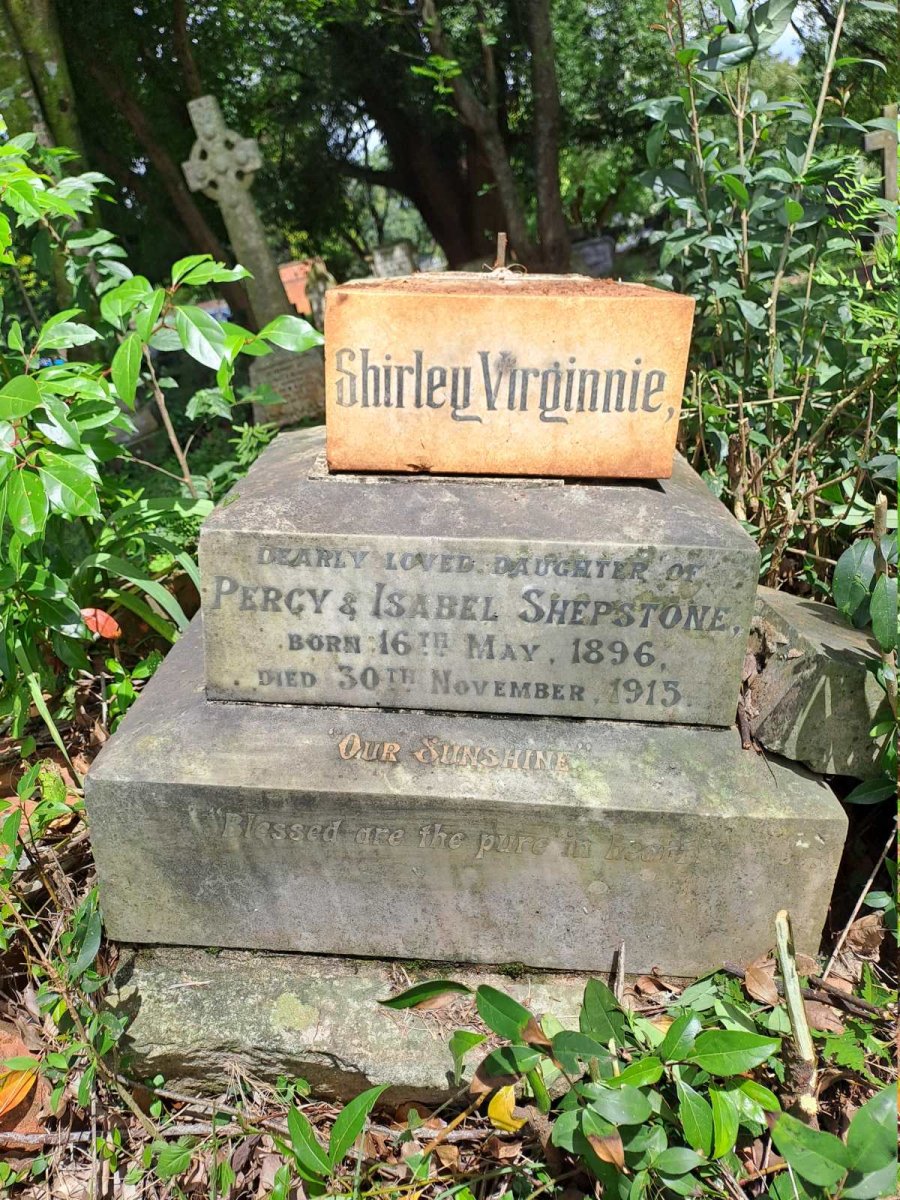 SHEPSTONE Shirley Virginnie 1896-1915