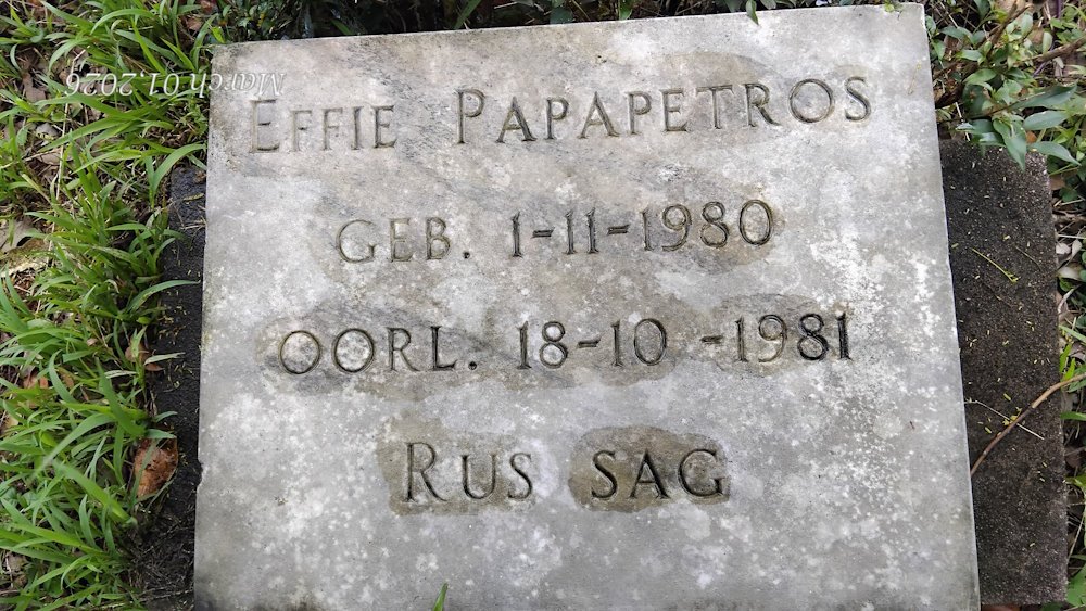 PAPAPETROS 1980-1981